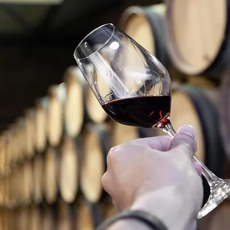 Downtown With Balcony * Porto